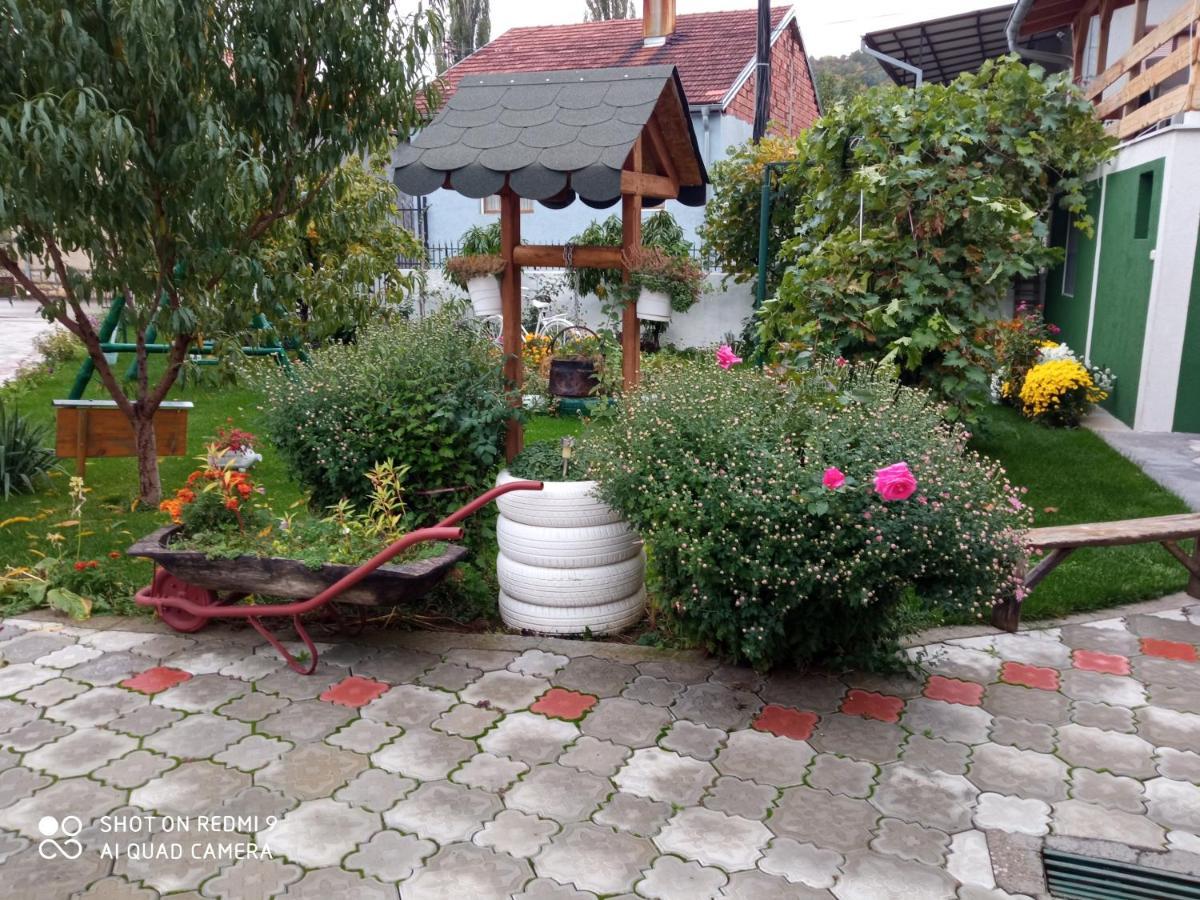Guest House Vila Banjica Пирот Экстерьер фото