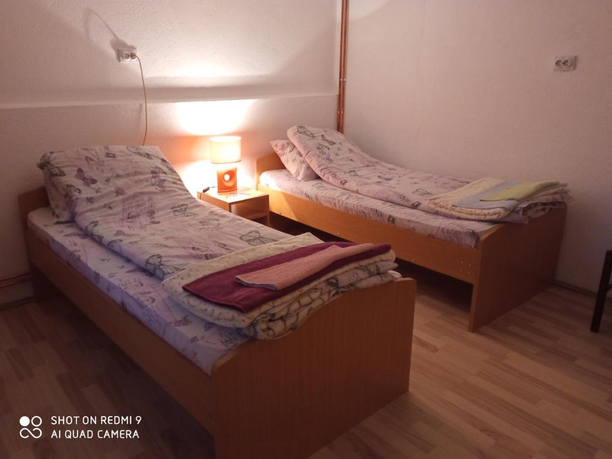 Guest House Vila Banjica Пирот Экстерьер фото
