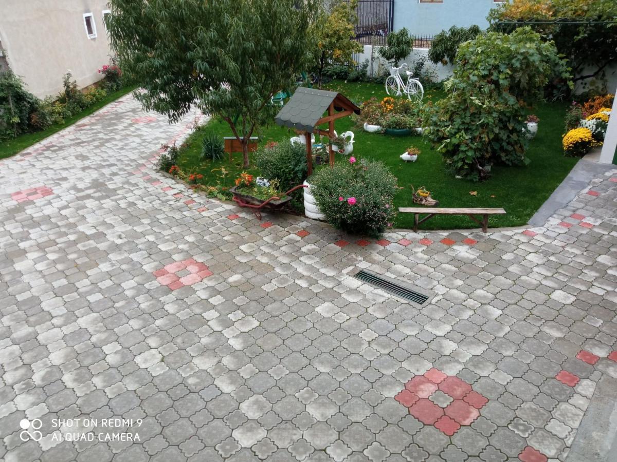Guest House Vila Banjica Пирот Экстерьер фото