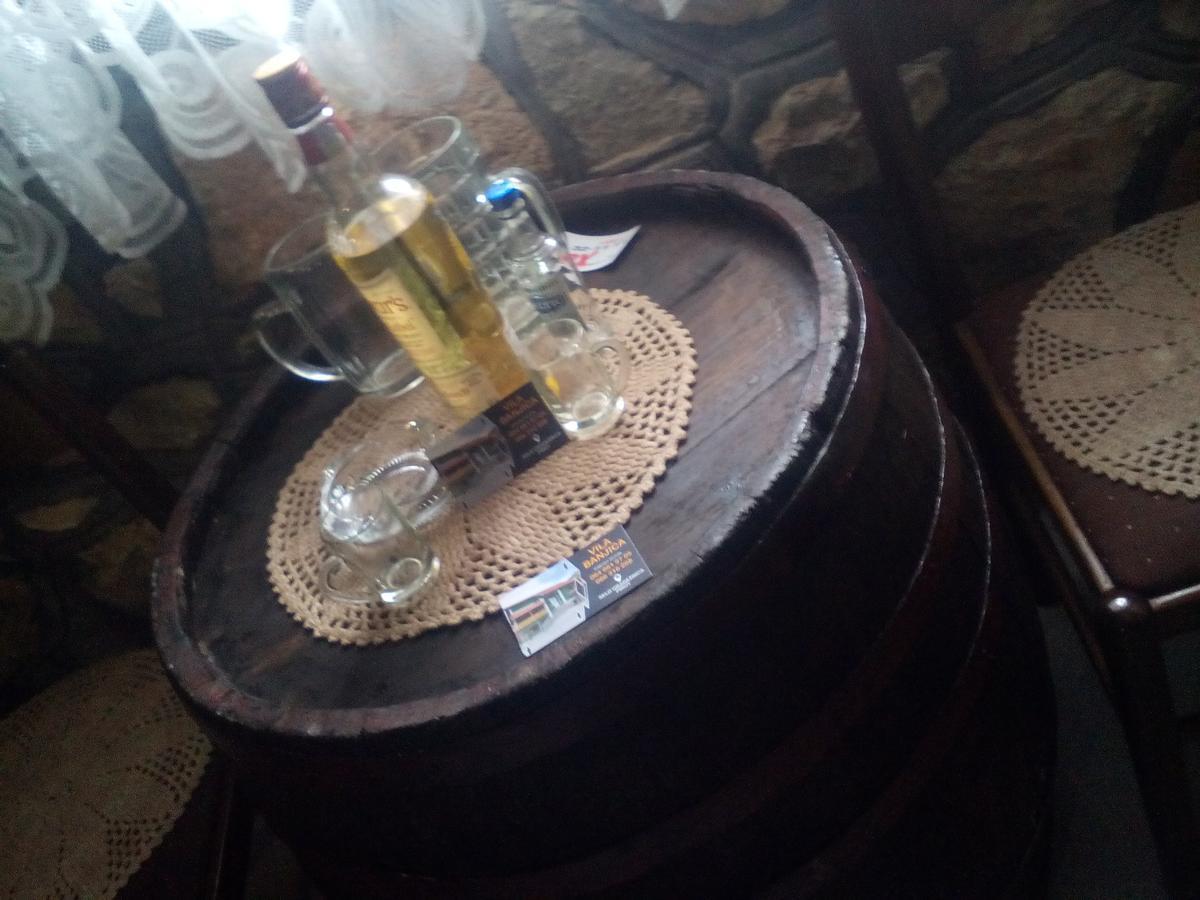 Guest House Vila Banjica Пирот Экстерьер фото