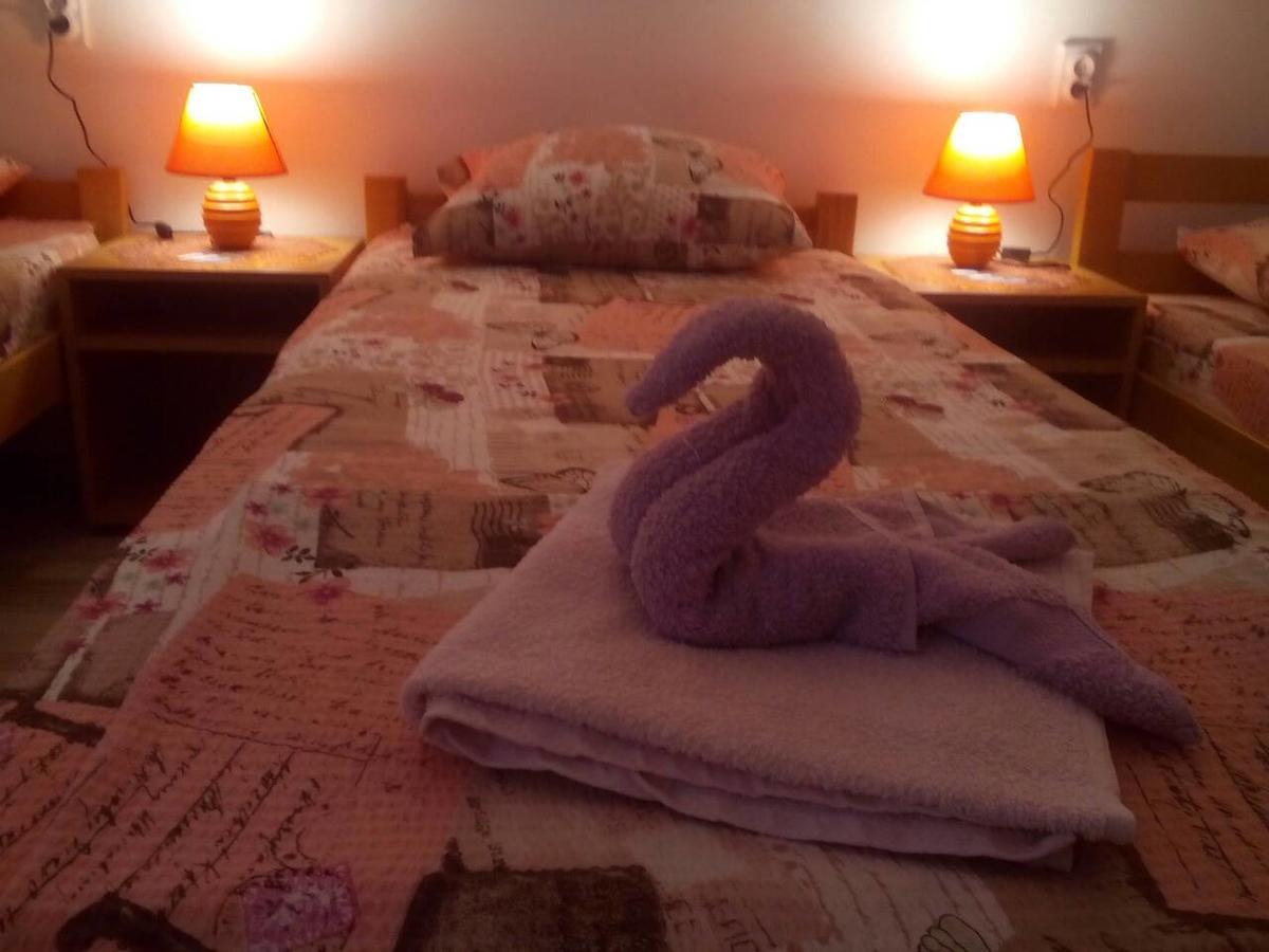 Guest House Vila Banjica Пирот Экстерьер фото