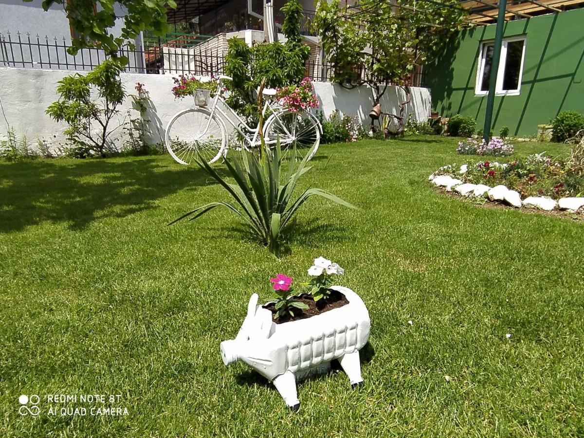 Guest House Vila Banjica Пирот Экстерьер фото