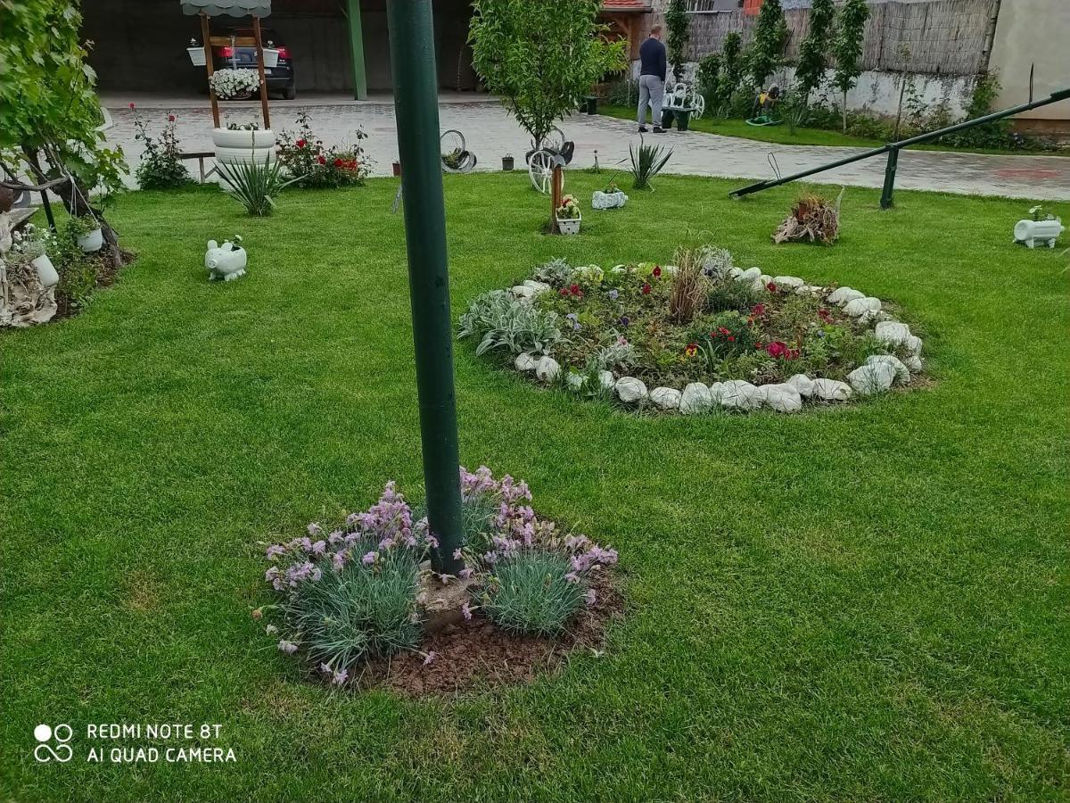 Guest House Vila Banjica Пирот Экстерьер фото