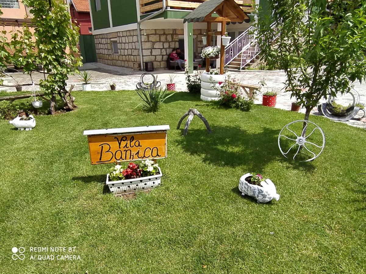 Guest House Vila Banjica Пирот Экстерьер фото
