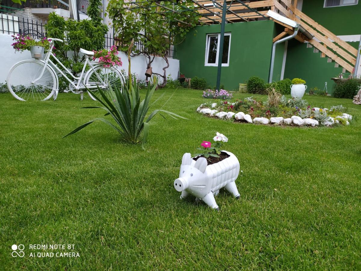 Guest House Vila Banjica Пирот Экстерьер фото