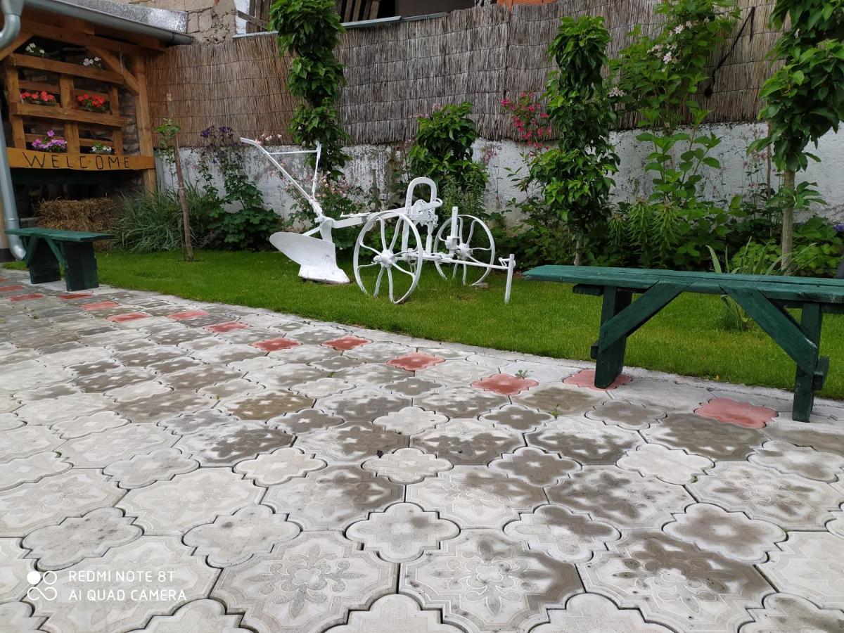 Guest House Vila Banjica Пирот Экстерьер фото